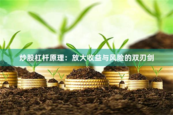 炒股杠杆原理：放大收益与风险的双刃剑